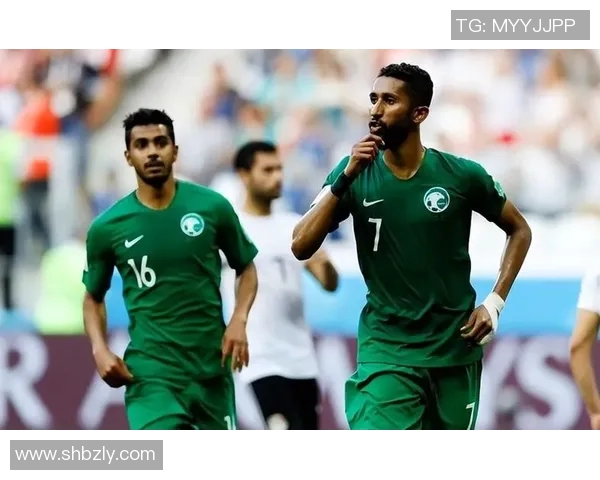 阿根廷与伊朗比赛数据分析及战术对比详解